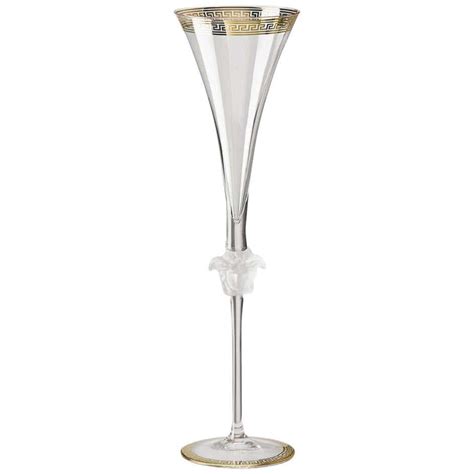 versace champagne glass|Versace unisex glasses.